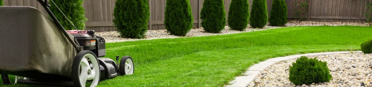 Matériel jardinage Clamart