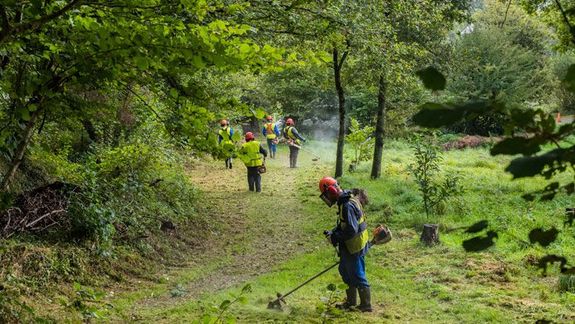 Débroussaillage : le guide complet