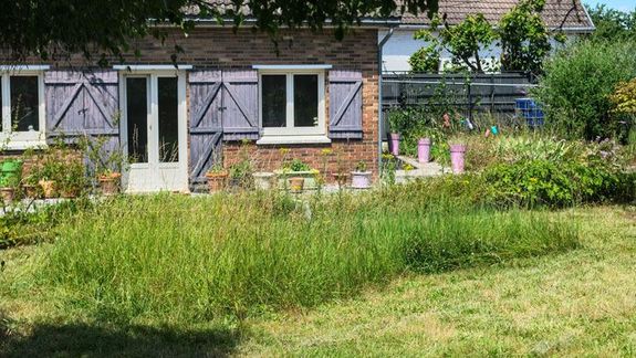 Tonte de pelouse : quelles alternatives écologiques ?
