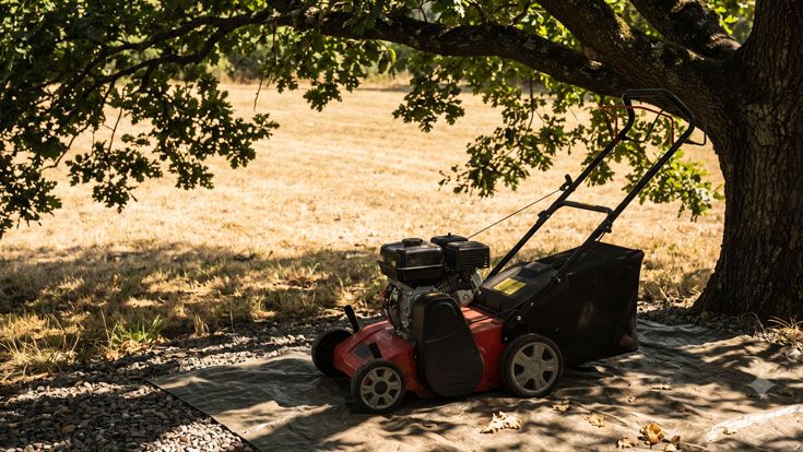 Entretien pelouse en été et canicule : que faire ?
