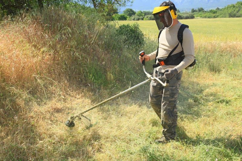 débroussaillage d'un champ