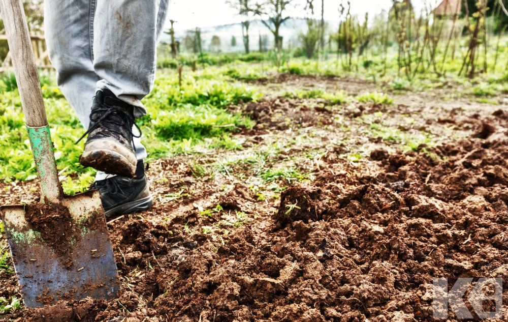 comment traiter le sol de son jardin en le redynamisant