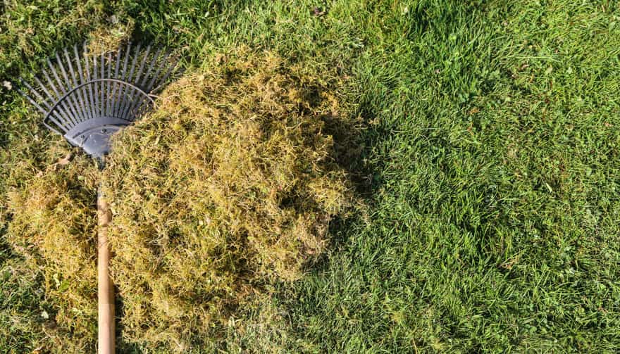 Scarifier une pelouse au râteau