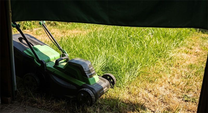 Tondre sa pelouse en été